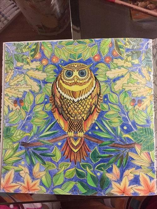 我的秘密花园1,我的秘密花园之旅  第3张