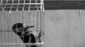 慢放镜头,捕捉生活瞬间之美  第2张