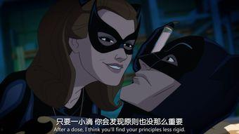 蝙蝠侠：披风斗士归来  第2张