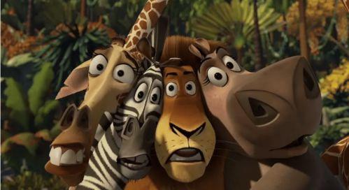 马达加斯加,非洲之翼的生态奇迹与多元文化之旅  第2张