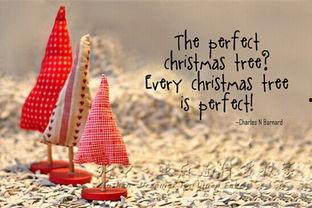 圣诞爱重来,重温温馨时光，共度浪漫佳节  第2张